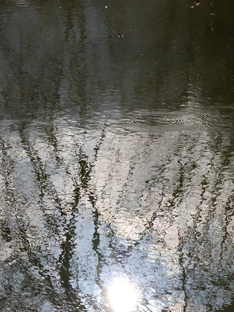 Morning Sun Reflected on the Cam River, as seen from a footbridge in February - #5