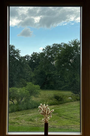 Guest room window in the Wasser House (iPhone)