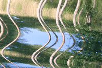 Ripples Approaching the Canal's Shore
