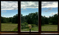 Guest room window in the Wasser House (iPhone)